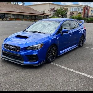 Meet your Posher, Gus